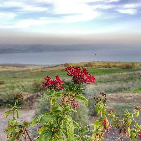 Sea Of Galilee Site Apartment Chorazim Ngoại thất bức ảnh