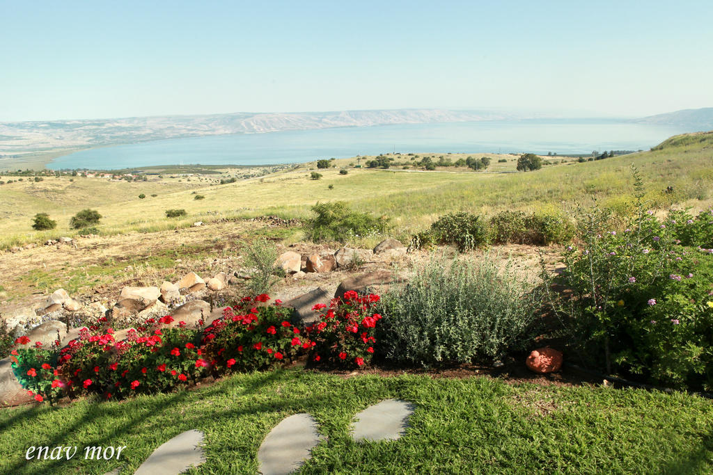 Sea Of Galilee Site Apartment Chorazim Ngoại thất bức ảnh
