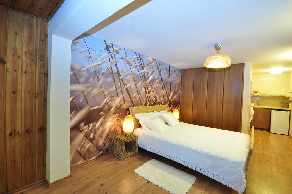 Sea Of Galilee Site Apartment Chorazim Phòng bức ảnh