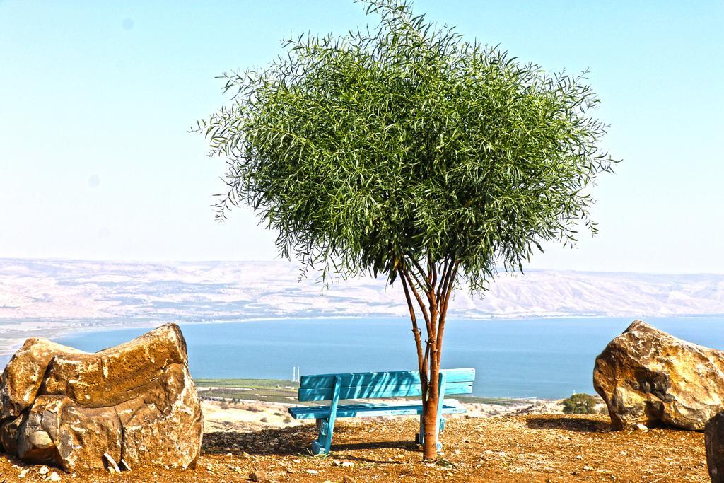 Sea Of Galilee Site Apartment Chorazim Ngoại thất bức ảnh